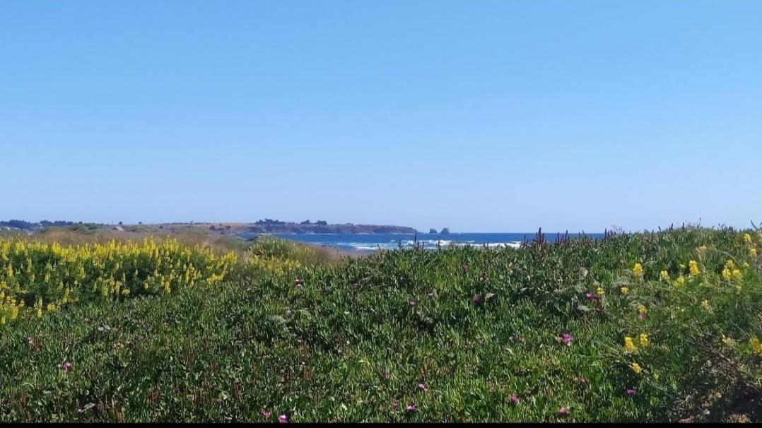 SaldeMar Playa Hermosa Pichilemu Dış mekan fotoğraf